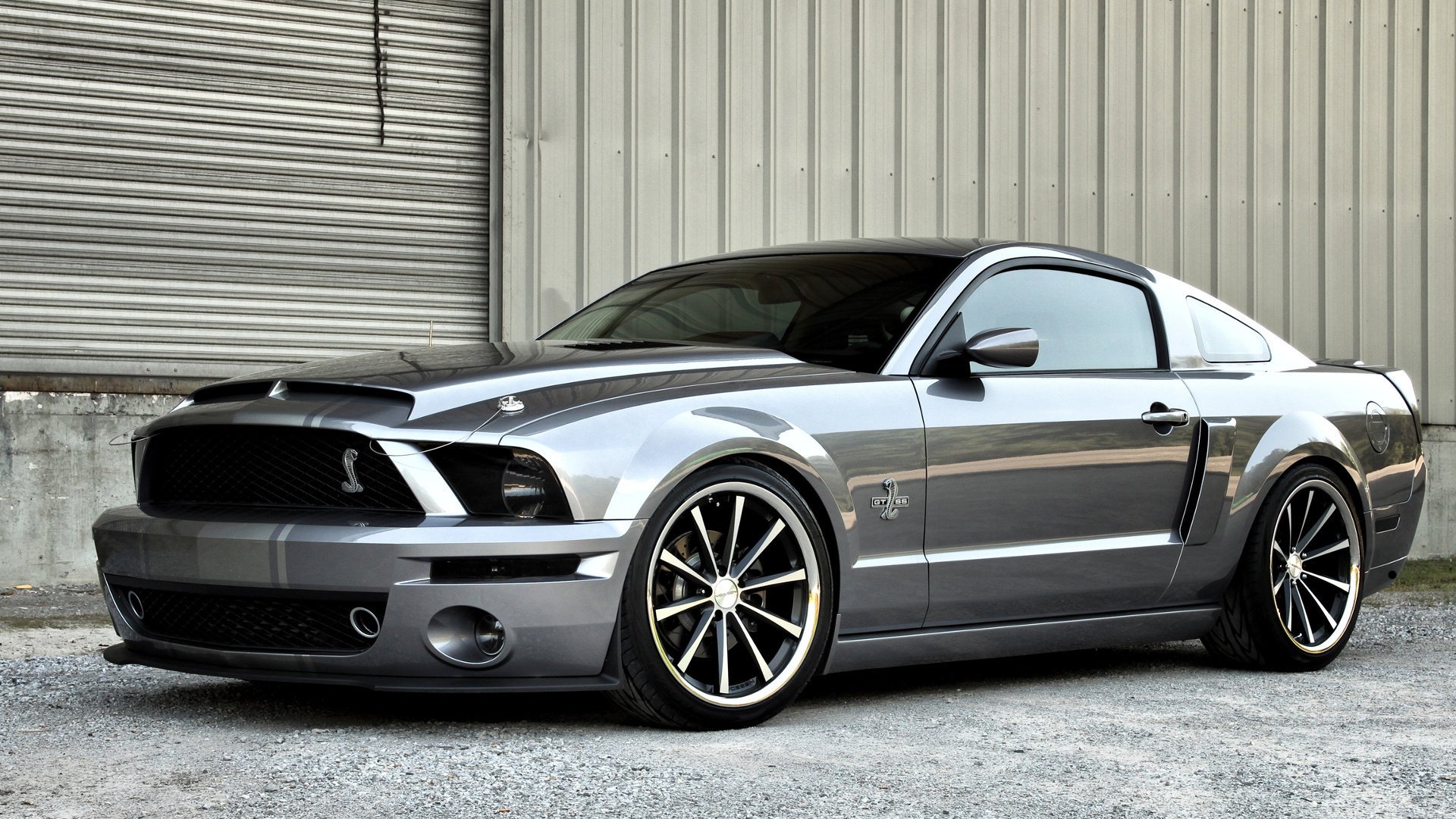 ford mustang ford auto photo cars cobra mustang shelby auto car profile silver car wheels transport cool car car passenger cars cars sports cars motor transport