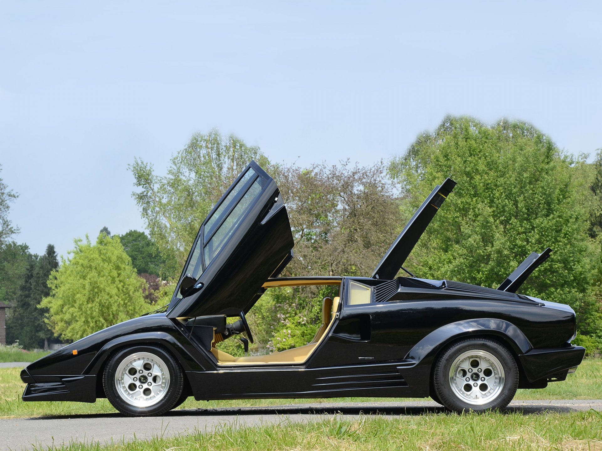 lamborghini countach vue latérale countach portes capot arbres