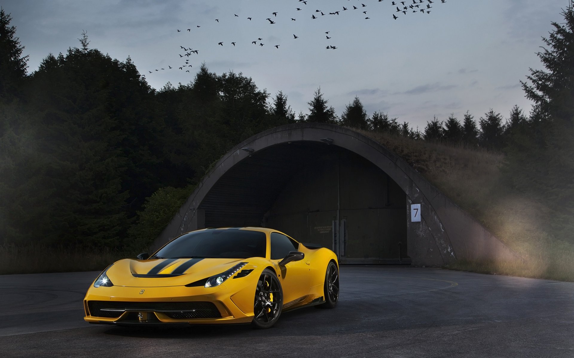 ferrari 458 speciale yellow ferrari twilight birds sky