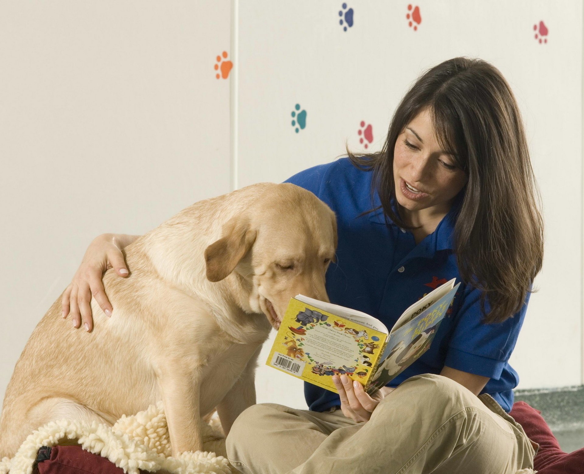 lecture retriever chien fille amis esprit livre amitié animaux chiens waw-waw-waw-waw modèle brunette