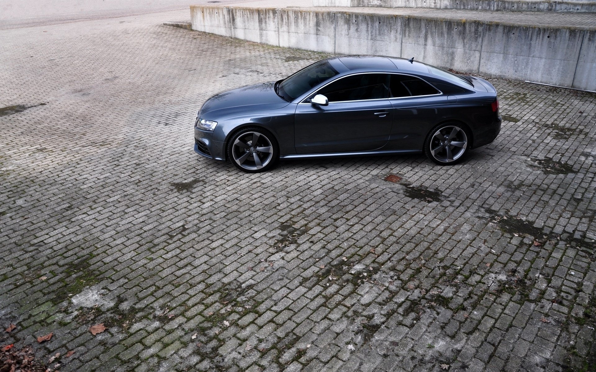 audi foto auto audi cars rs5 sfondi auto auto auto wallpapers auto profilo auto scuro pavimentazione cerchi automobili automobili auto veicoli veicoli