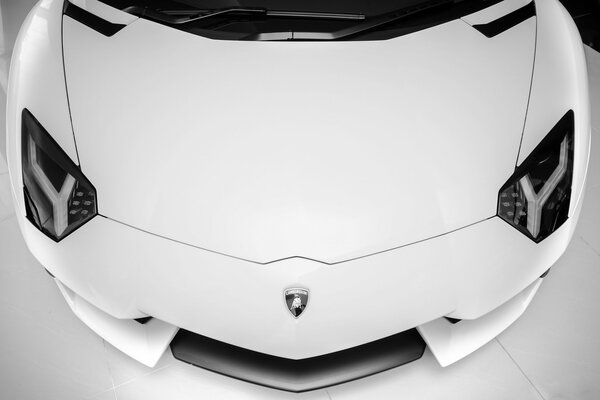 La Lamborghini bianca è bella nella sua semplicità