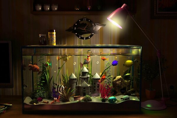 Im Aquarium schwimmen interessante Fische