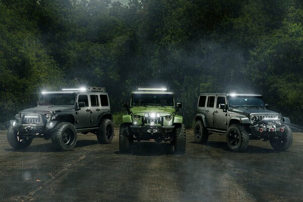 Drei Jeeps fuhren mit dem Pfeil in den Wald