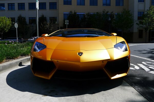 Yellow Lamborghini aventador LP700-4