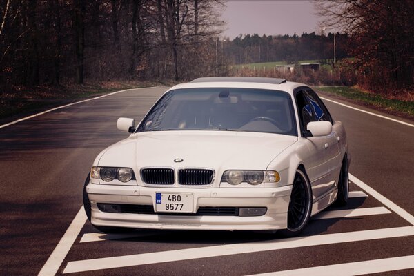 BMW E38 bianca con Boomer sulla strada