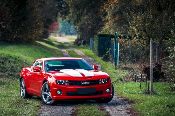 Roter chevrolet camaro ölwagen