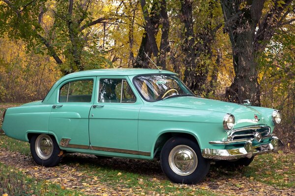 Green Volga on autumn street