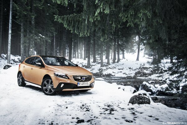 Unglaublicher Volvo im Wald auf der Straße