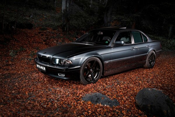 Dark gray car in the night forest