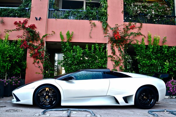 En la casa hay un elegante Lamborghini blanco