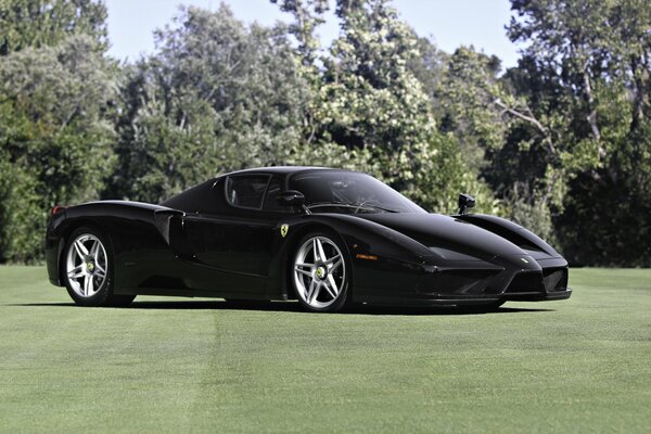 Elegante Ferrari en el césped del parque