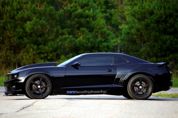 Chevrolet camaro stands against the background of a beautiful grove