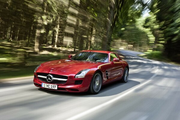 Czerwony Mercedes jedzie w lesie z dużą prędkością