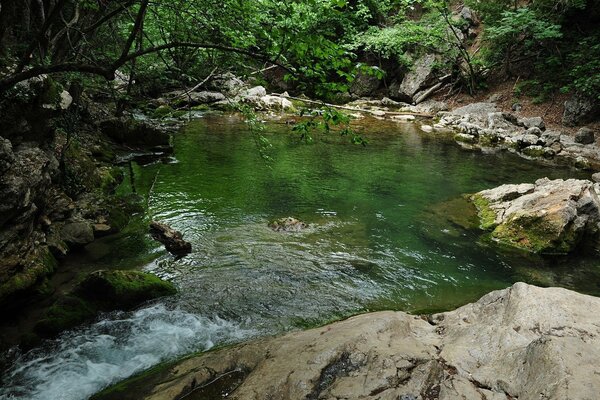 Clean water of the great Crimean canyon