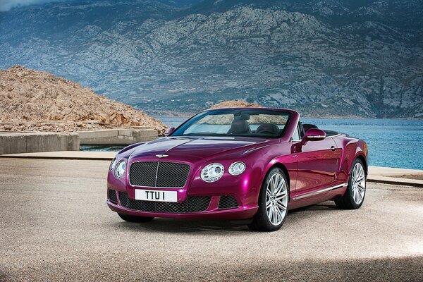 Bentley on the background of a beautiful landscape