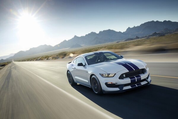 Ford Mustang Shelby White 2016