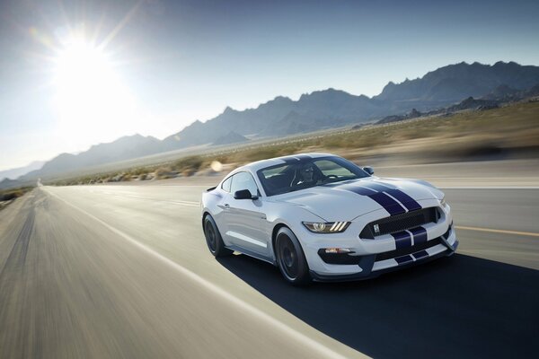 Ford Mustang Shelby blanc 2016
