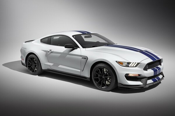 Ford Mustang Shelby bianco