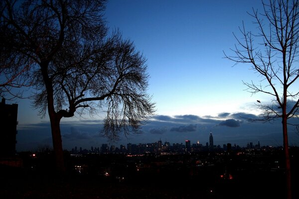 New York Du Soir. Arbres et ville sur fond de ciel