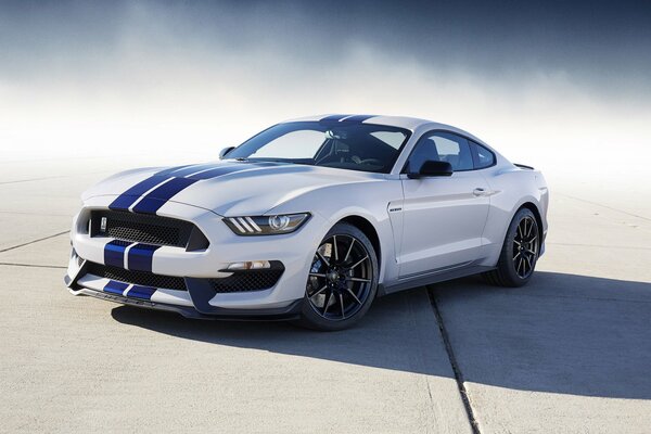 Ford Mustang Shelby 2016 weiß