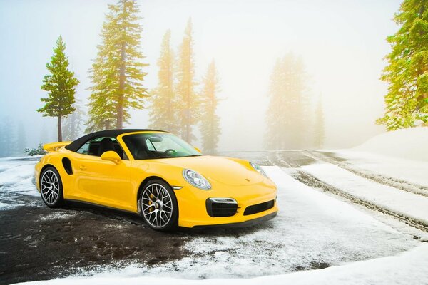 Auto di colore giallo sulla natura