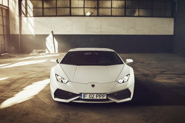 Super White Lamborghini Supercar 2014