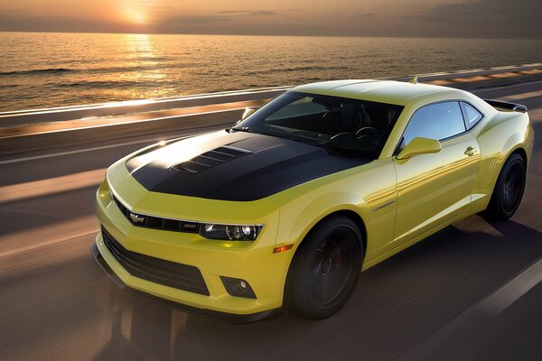 Chevrolet camaro amarillo 2014