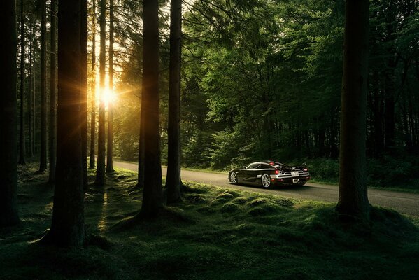 Beautiful forest and koenigsegg ccxr supercar