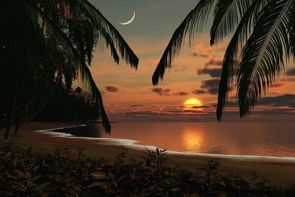 Romantic seascape with palm trees, sunset and moon