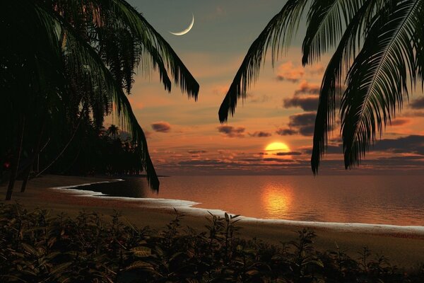 Romantyczny krajobraz morski z palmami, zachodem słońca i księżycem