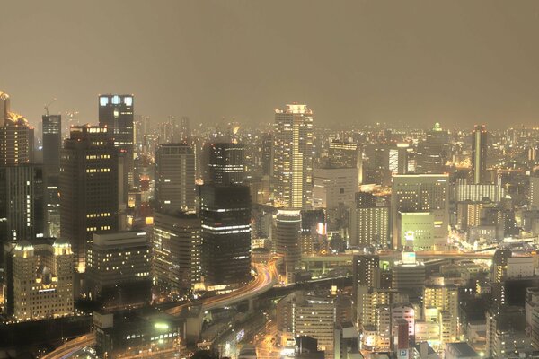 Las luces de la metrópoli nocturna y el cielo en la niebla