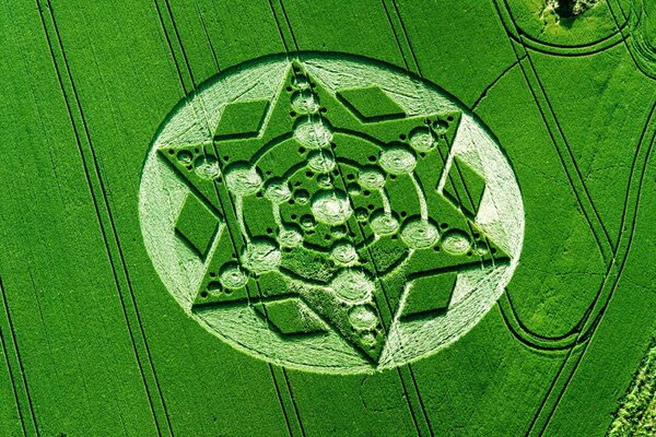 Okrąg na zielonym polu w geometrycznym wzorze