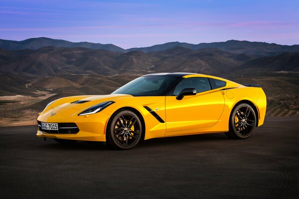 Chevrolet 2013 yellow stingray c7