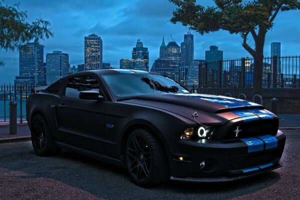 Black Ford Mustang on the embankment