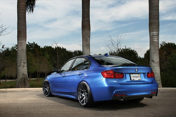 Azul coche BMW cerca de los árboles