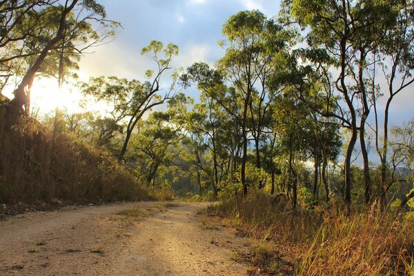 La hierba seca en el camino no estropea el paisaje