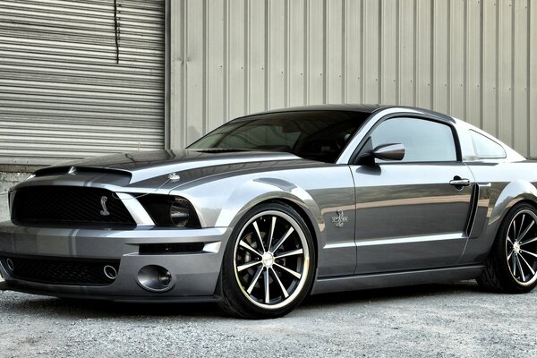 Mustang sportif dans le style