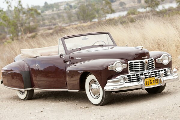 Burgundy Lincoln. continental 1947 on the background of tall grass