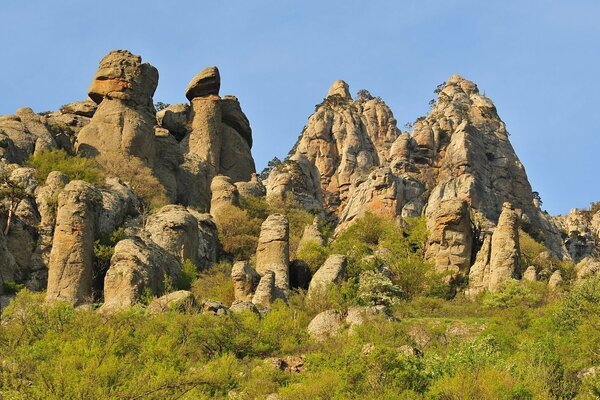 Dans la vallée apporter une nature magnifique