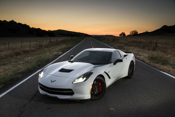 Corvette Chevrolet stringai 2014 na drodze