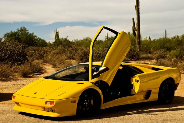Ein luxuriöser gelber Lamborghini mit klappbaren Türen überrascht mit der Raffinesse seiner Formen in der Wüste