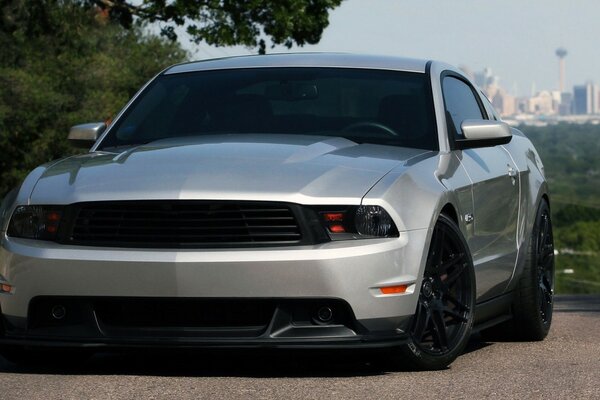 Grey Ford Mustang on the road