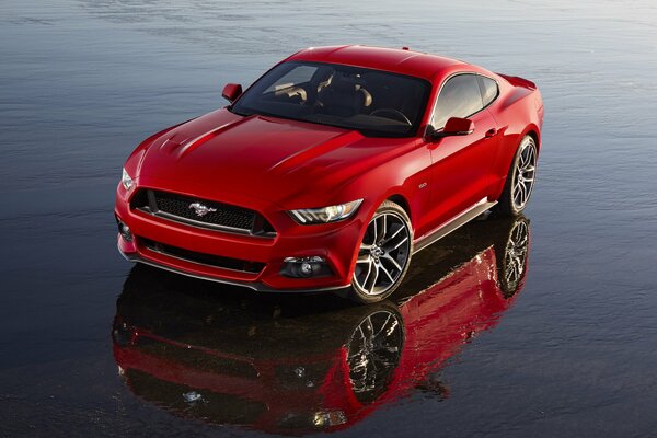 A red Ford Mustang is standing in the water