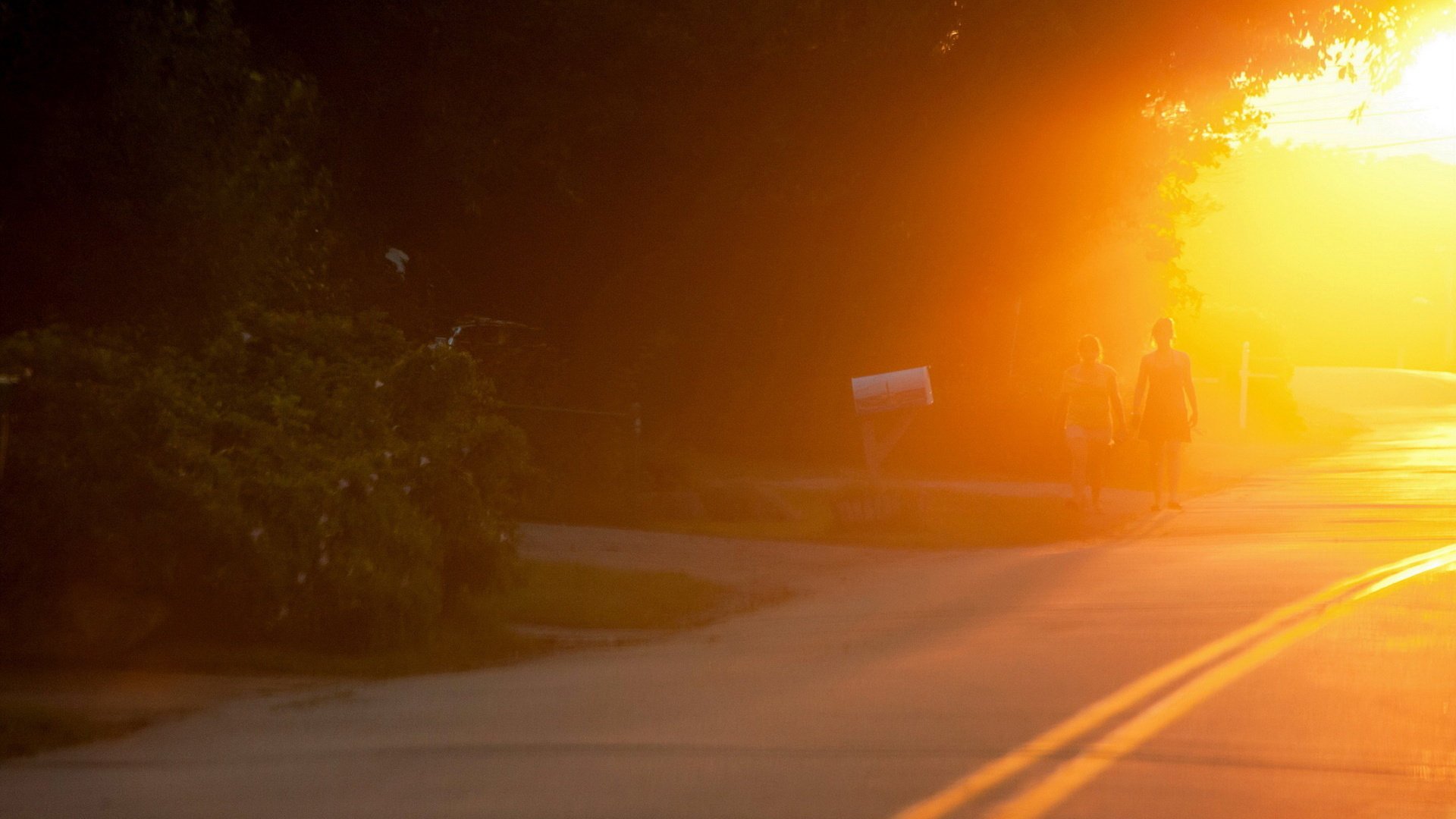 ner cov light road silhouette people photo roadside the bushes the sun sunset