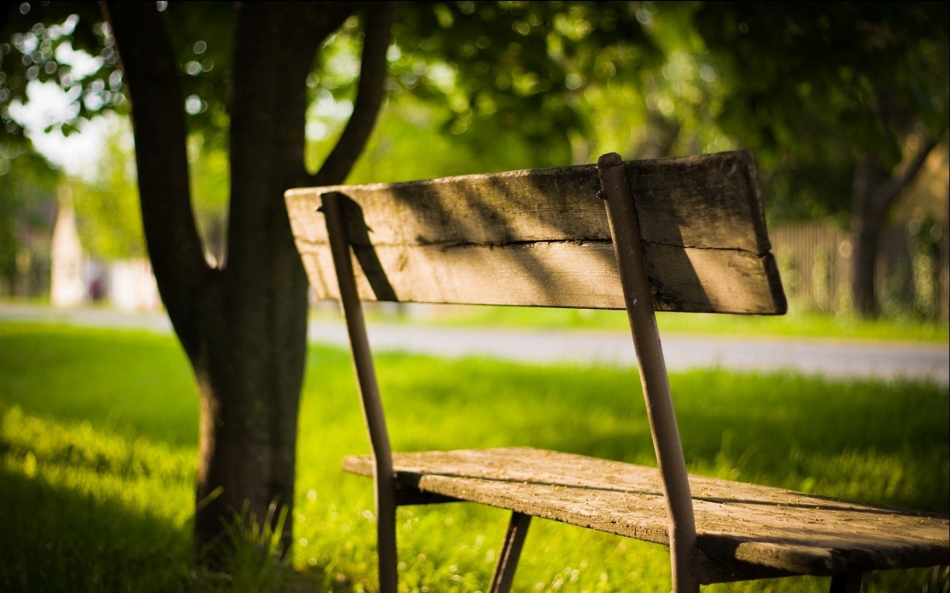 af chickpeas park bench trees green