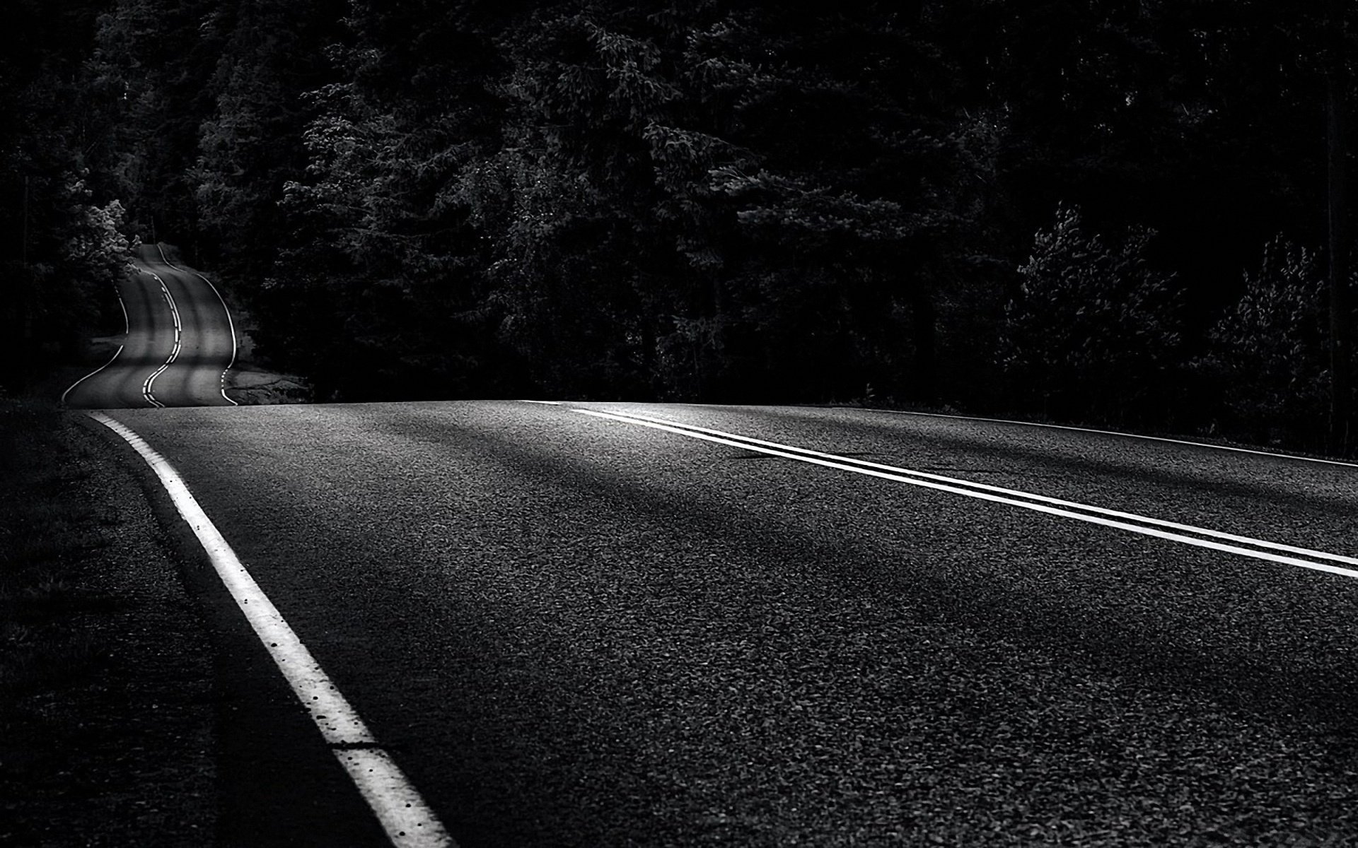 xer wenterasew carretera carretera pista bosque blanco negro marcado asfalto descenso