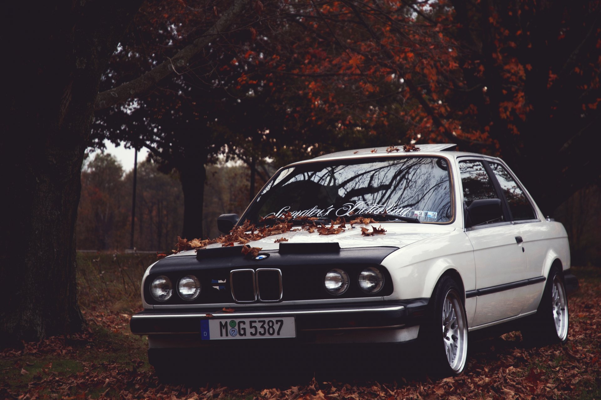 bmw e30 m3 posizione bmw autunno foglie