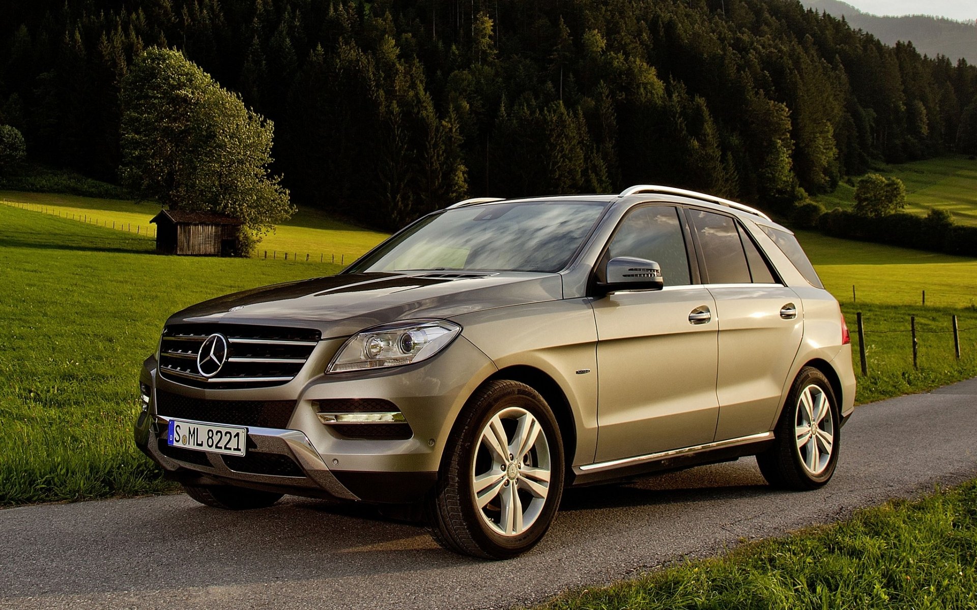 mercedes-benz ml blueefficiency mercedes ml jeep crossover anteriore strada alberi sfondo