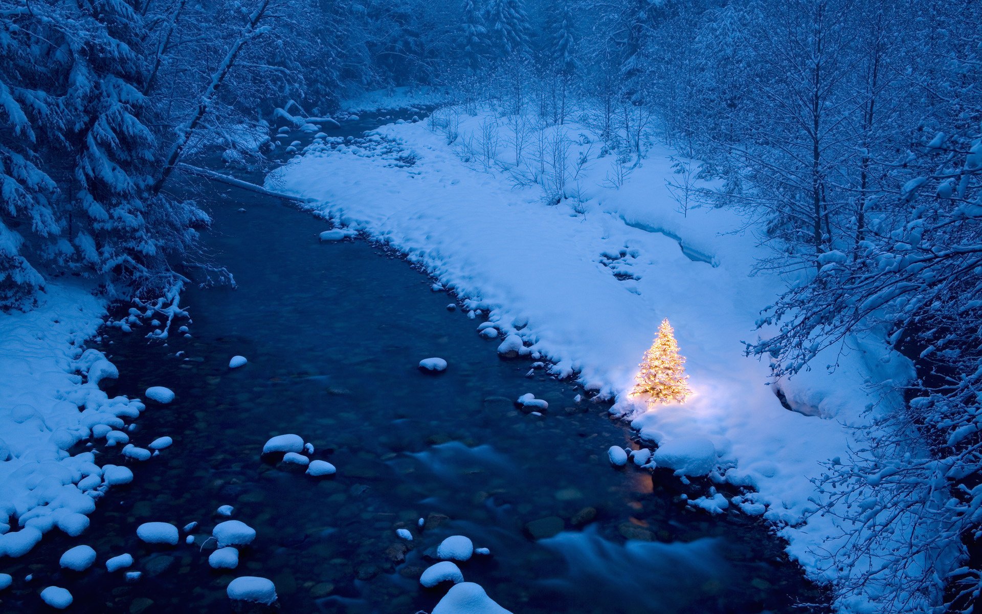 albero di natale decorato capodanno albero di natale fiume pietre foresta alberi gelo corrente natura paesaggio luci luce intensa inverno neve vista dall alto cumuli di neve boschetti inverno capodanno ghirlande